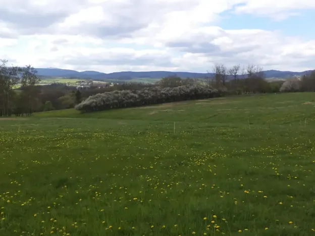 Dražba louky, Staré Město, 10063 m2