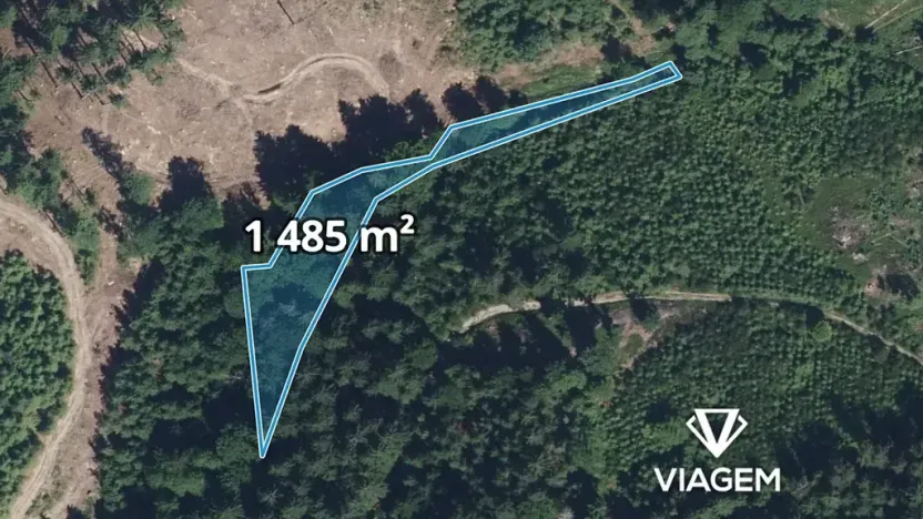 Prodej podílu lesa, Vysoké nad Jizerou, 932 m2