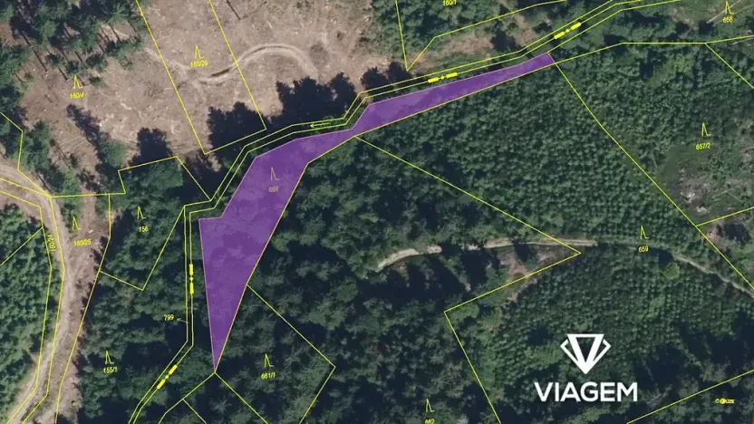 Prodej podílu lesa, Vysoké nad Jizerou, 932 m2