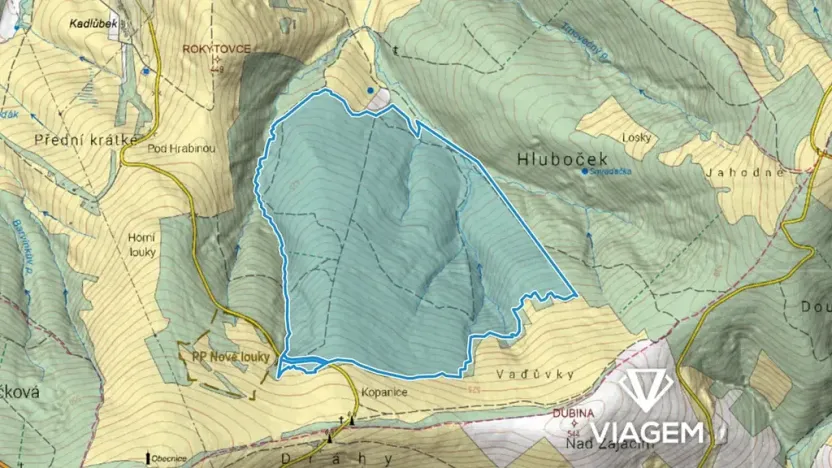 Prodej podílu lesa, Korytná, 46570 m2