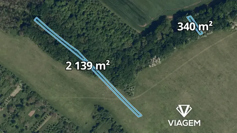 Prodej podílu lesa, Popovice, 882 m2