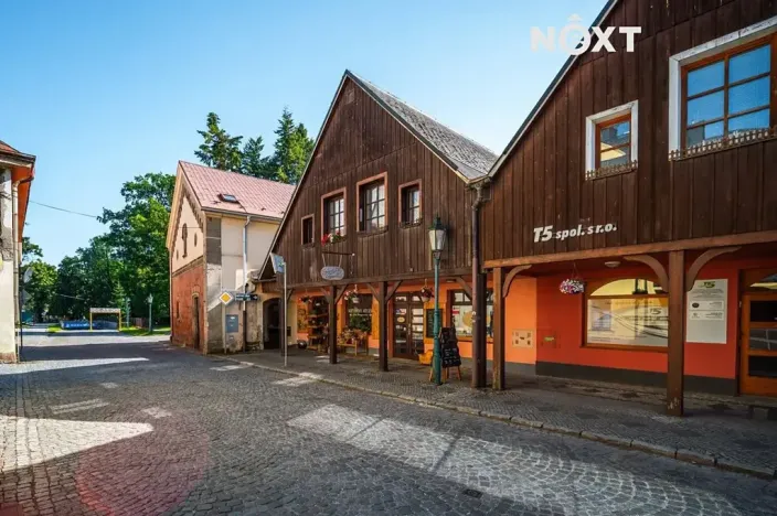 Prodej obchodního prostoru, Vrchlabí, Zámecká, 300 m2