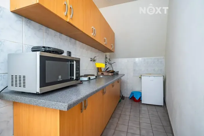 Prodej obchodního prostoru, Vrchlabí, Zámecká, 300 m2