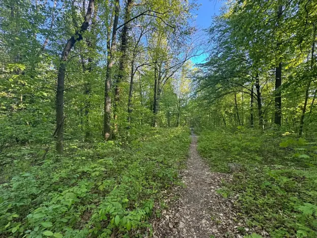 Prodej pozemku, Kutná Hora, Kouřimská, 1441 m2