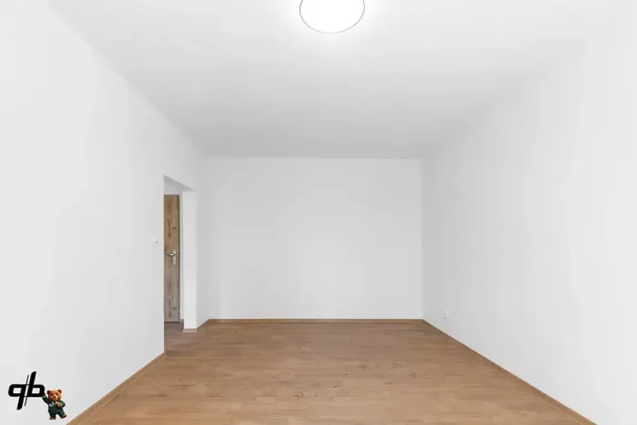Prodej bytu 1+1, Frýdek-Místek, J. E. Purkyně, 35 m2