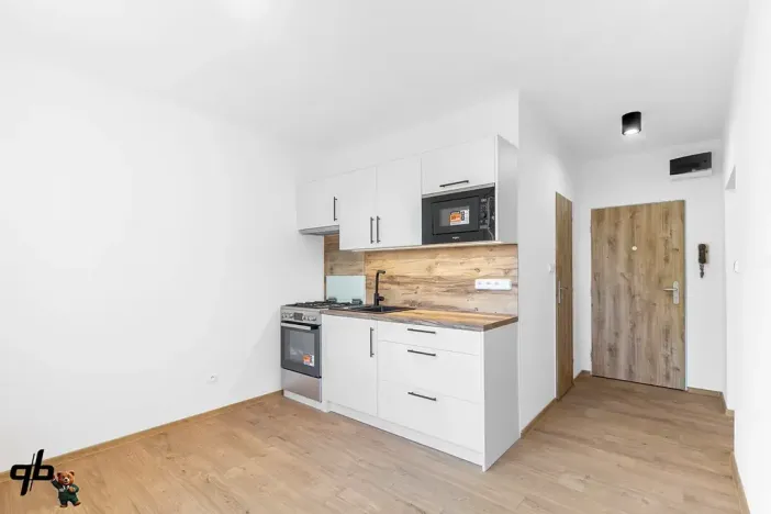 Prodej bytu 1+1, Frýdek-Místek, J. E. Purkyně, 35 m2