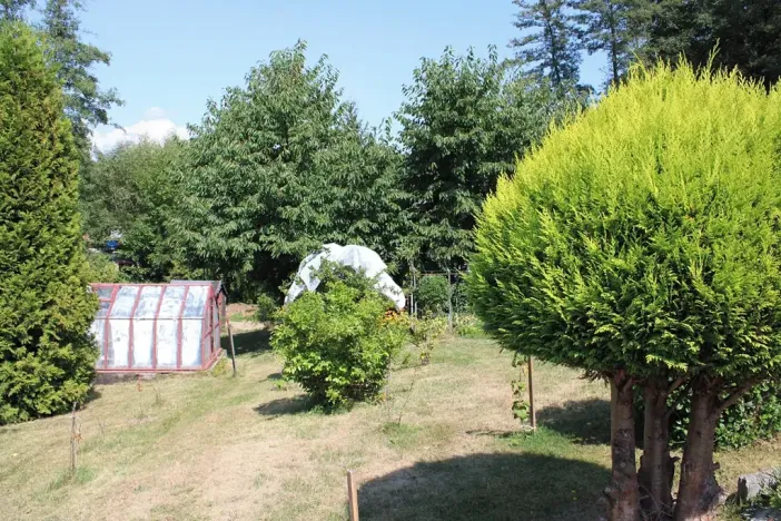 Prodej zahrady, Těšovice, 506 m2
