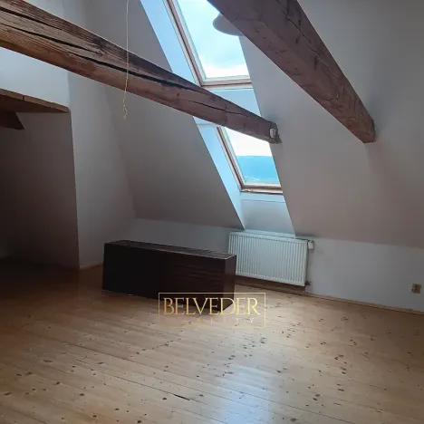 Pronájem bytu 2+1, Teplice, Polská, 110 m2