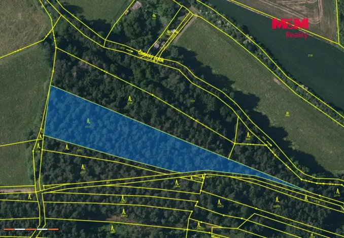 Prodej lesa, Břežany, 5988 m2