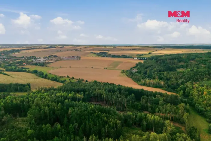 Prodej lesa, Břežany, 5988 m2