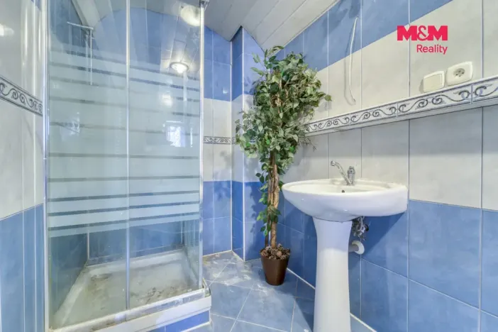 Prodej rodinného domu, Sokolov - Vítkov, Stará Ovčárna, 340 m2