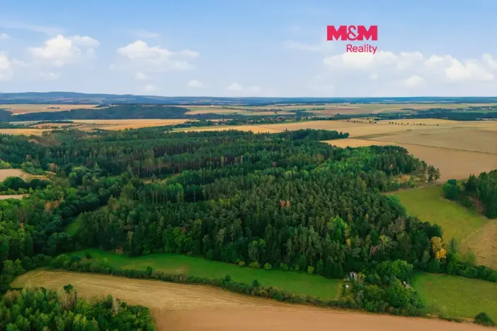 Prodej lesa, Břežany, 4230 m2