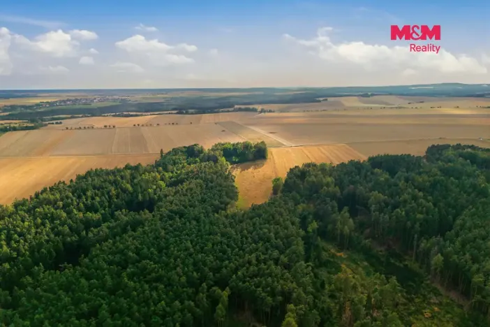 Prodej lesa, Břežany, 4230 m2