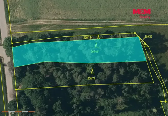 Prodej lesa, Břežany, 4230 m2