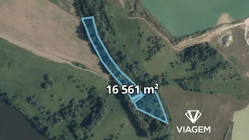 Prodej podílu lesa, Kostelec nad Labem, 2389 m2