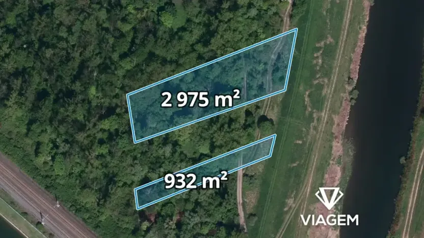 Prodej podílu lesa, Dětmarovice, 1565 m2