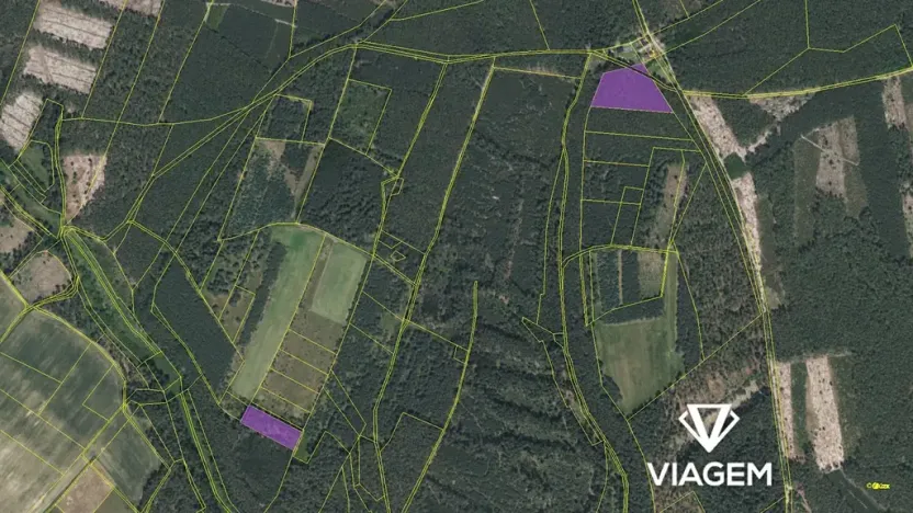Prodej podílu lesa, Bělá pod Bezdězem, 2524 m2