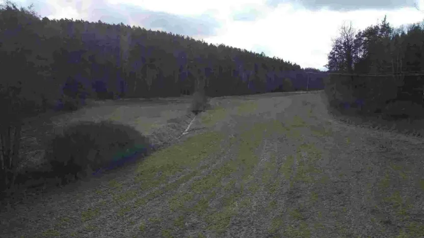 Prodej pole, Horšovský Týn - Oplotec, 385 m2
