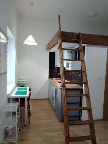 Prodej bytu 1+kk, Praha - Nové Město, Sokolská, 23 m2