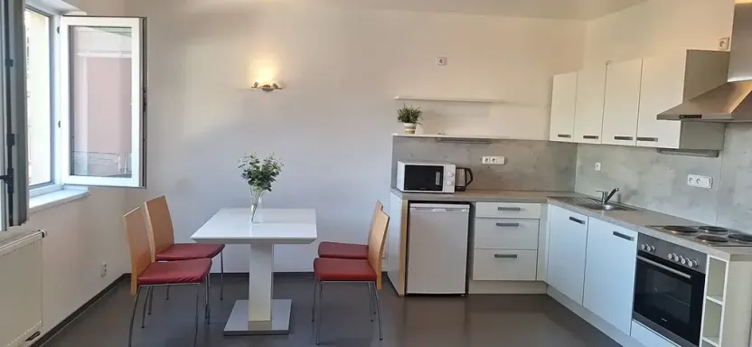 Pronájem bytu 1+kk, Brno, Stará, 46 m2