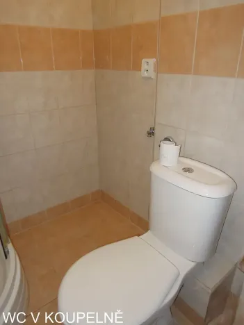 Pronájem bytu 1+1, Brno, Polní, 30 m2
