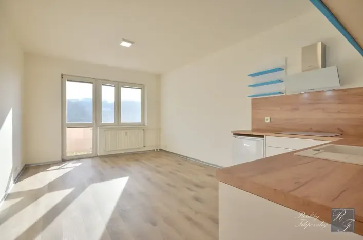 Pronájem bytu 1+kk, Ústí nad Labem, Baráčnická, 30 m2