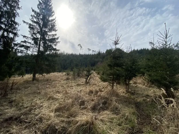 Prodej louky, Městečko Trnávka - Lázy, 1410 m2