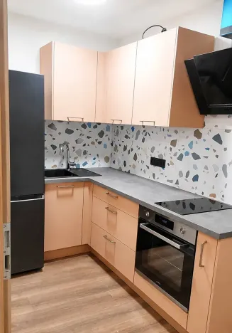 Pronájem bytu 1+1, Praha - Žižkov, V domově, 39 m2