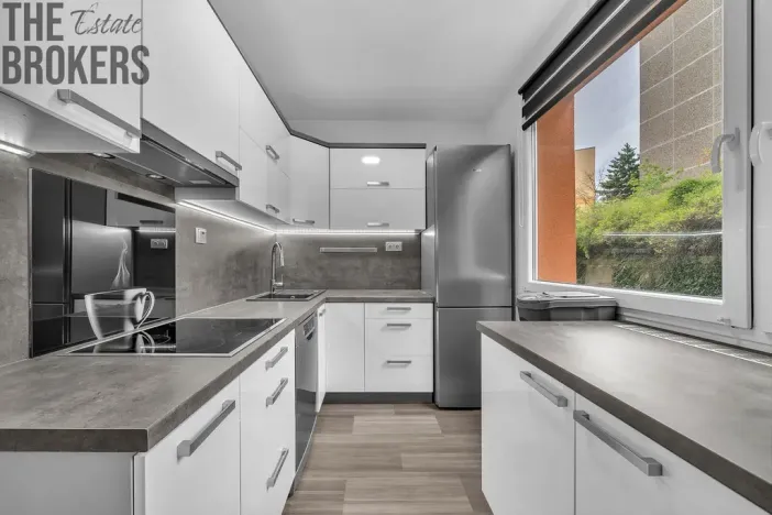 Prodej bytu 2+1, Ústí nad Labem - Severní Terasa, Kmochova, 61 m2