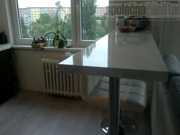 Pronájem bytu 1+kk, Praha - Záběhlice, Topolová, 40 m2