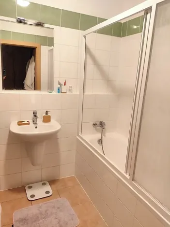 Pronájem bytu 1+kk, Praha - Krč, Panuškova, 44 m2