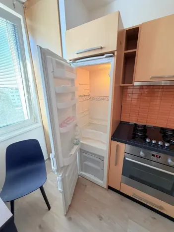Pronájem bytu 1+1, Židlochovice, sídl. Družba, 35 m2