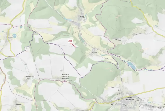 Dražba lesa, Bělá u Jevíčka, 498 m2