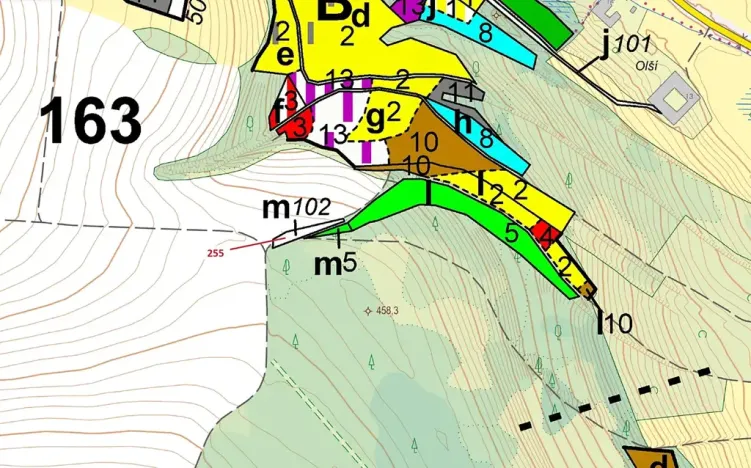 Dražba lesa, Bělá u Jevíčka, 498 m2