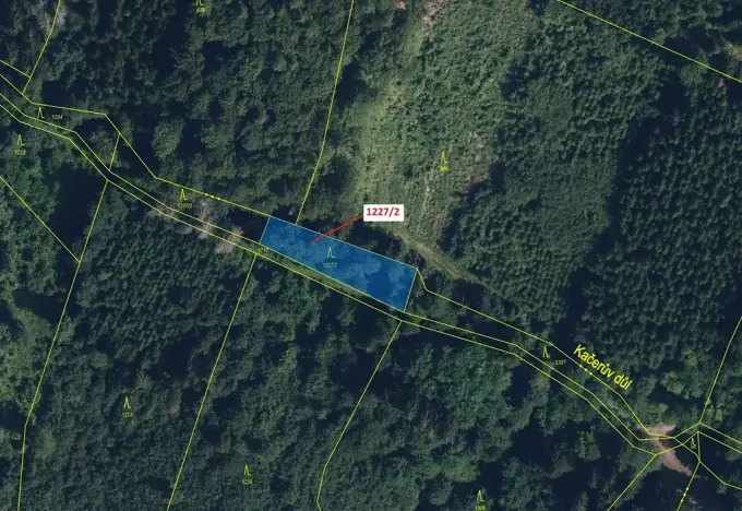Dražba lesa, Horní Studénky, 860 m2