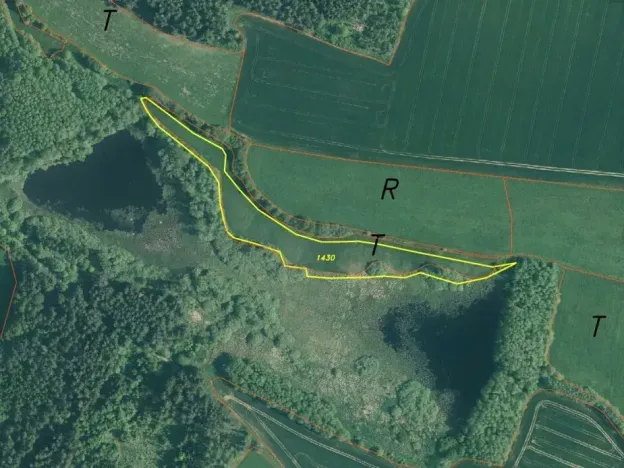 Dražba louky, Kváskovice, 10470 m2