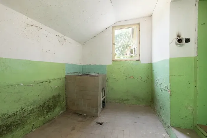 Prodej rodinného domu, Ryžoviště, Tyršova, 200 m2