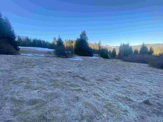 Prodej pole, Železná Ruda, 2377 m2