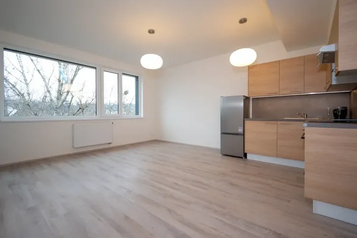 Pronájem bytu 2+kk, Praha - Holešovice, Jankovcova, 43 m2