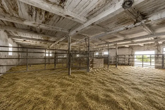 Prodej zemědělského objektu, Dolní Dvořiště, 2000 m2