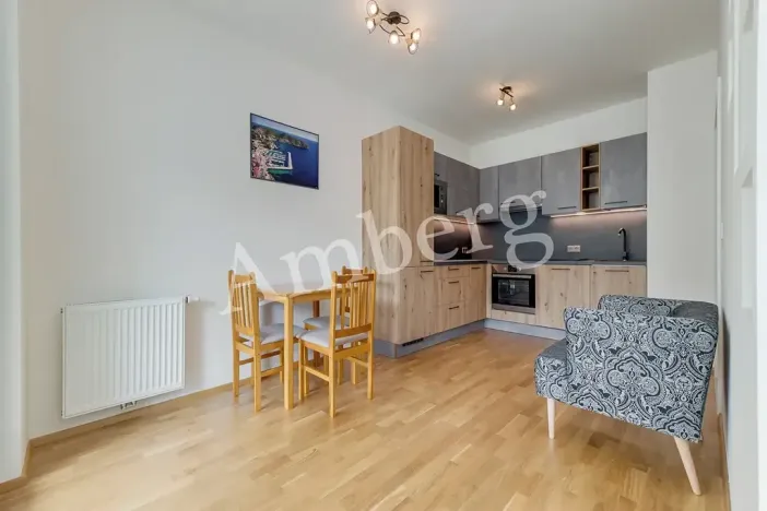 Pronájem bytu 1+kk, Praha - Karlín, Breitfeldova, 38 m2