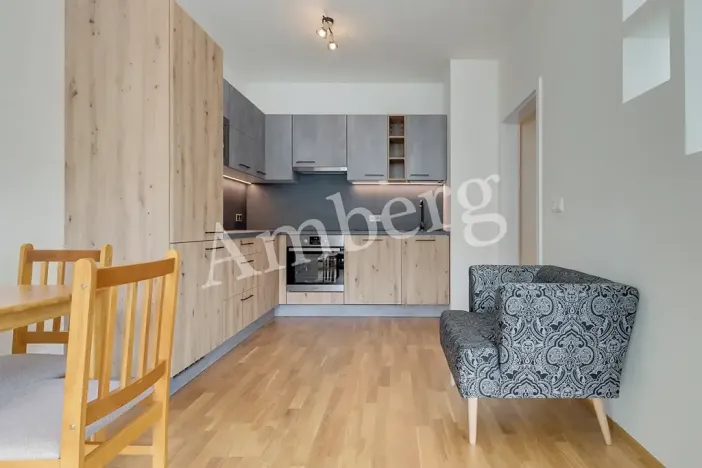 Pronájem bytu 1+kk, Praha - Karlín, Breitfeldova, 38 m2