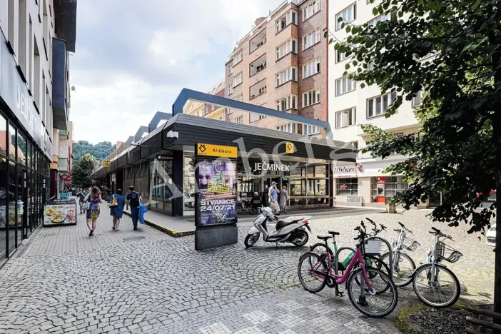 Pronájem bytu 1+kk, Praha - Karlín, Breitfeldova, 38 m2