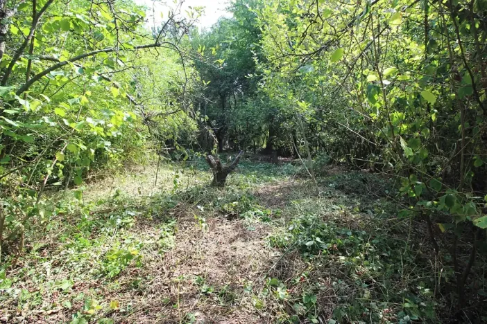 Prodej pozemku pro bydlení, Psáry, 1000 m2