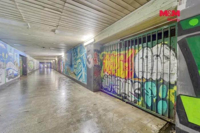 Pronájem skladu, Plzeň - Jižní Předměstí, Husova, 70 m2