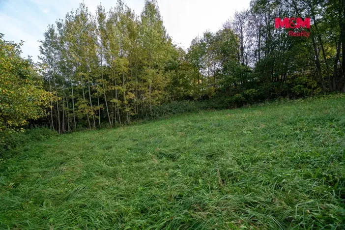 Prodej lesa, Kosov, 467 m2