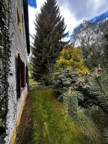 Prodej rodinného domu, Hořepník, 1200 m2