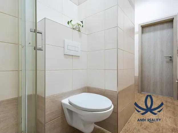 Pronájem bytu 1+1, Milovice, Slepá, 32 m2