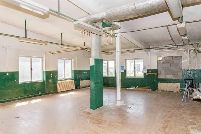 Prodej obchodního prostoru, Raspenava, 24366 m2