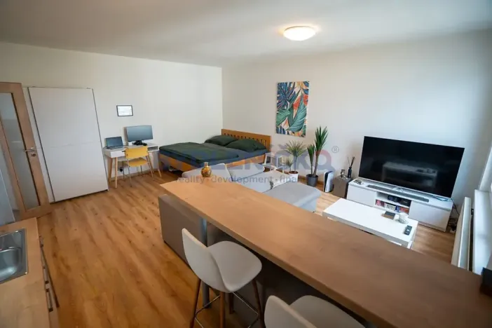 Prodej bytu 1+kk, České Budějovice, České Vrbné, 45 m2